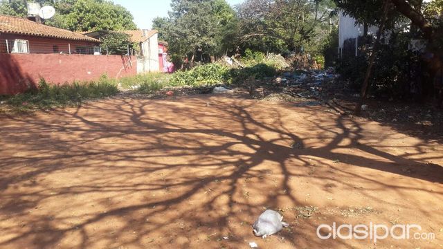 TERRENO LUQUE ZONA TAIGA BRITEZ BORGE — foto 3