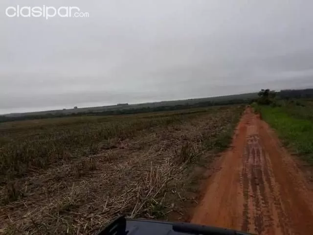 Vendo propiedad en nueva esperanza — foto 2