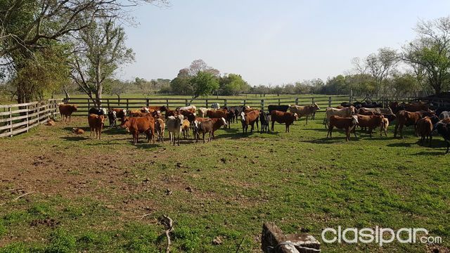 Vendo Estancia en Isla Alta — foto 3
