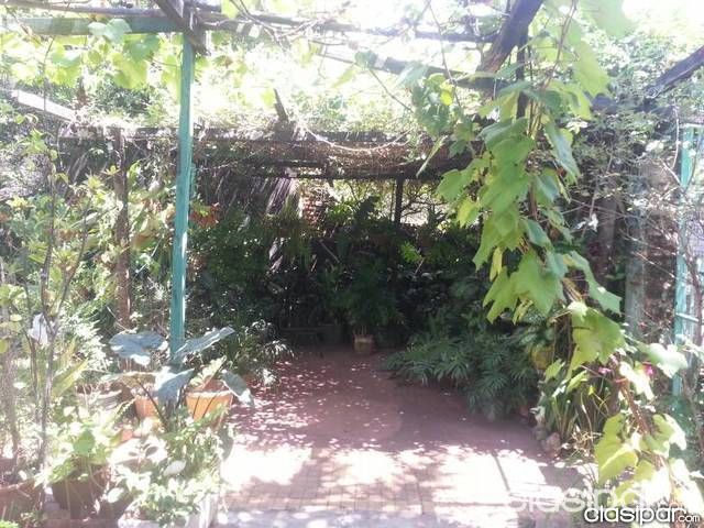 Anuncio 927407 — foto 2