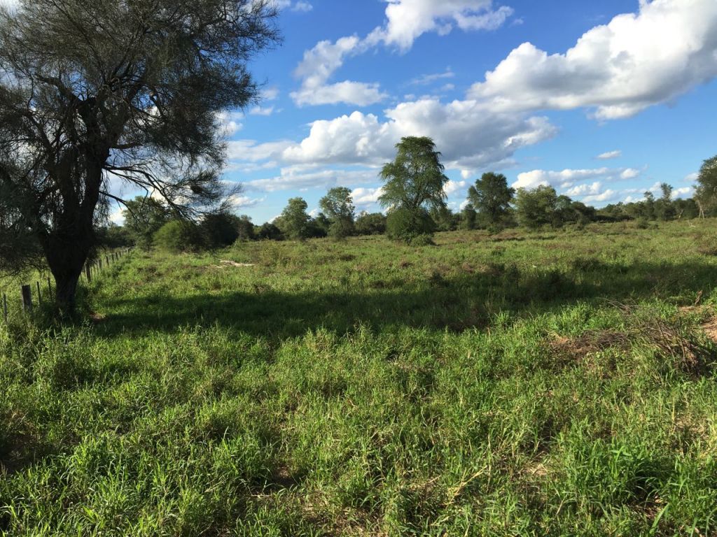Vendo Estancia en el Chaco- Zona Avalos Sanchez — foto 2