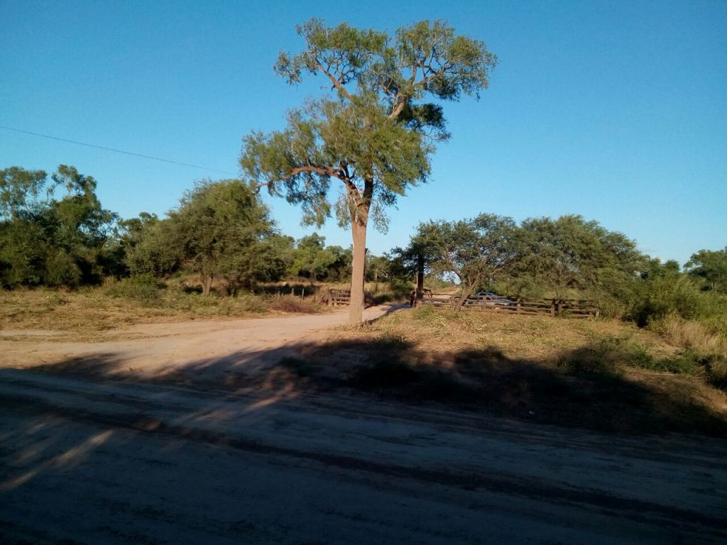 Vendo Estancia en el Chaco- Zona Avalos Sanchez — foto 3