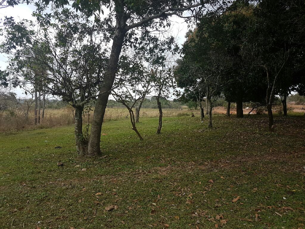Vendo casi 8 hectáreas en emboscada — foto 3