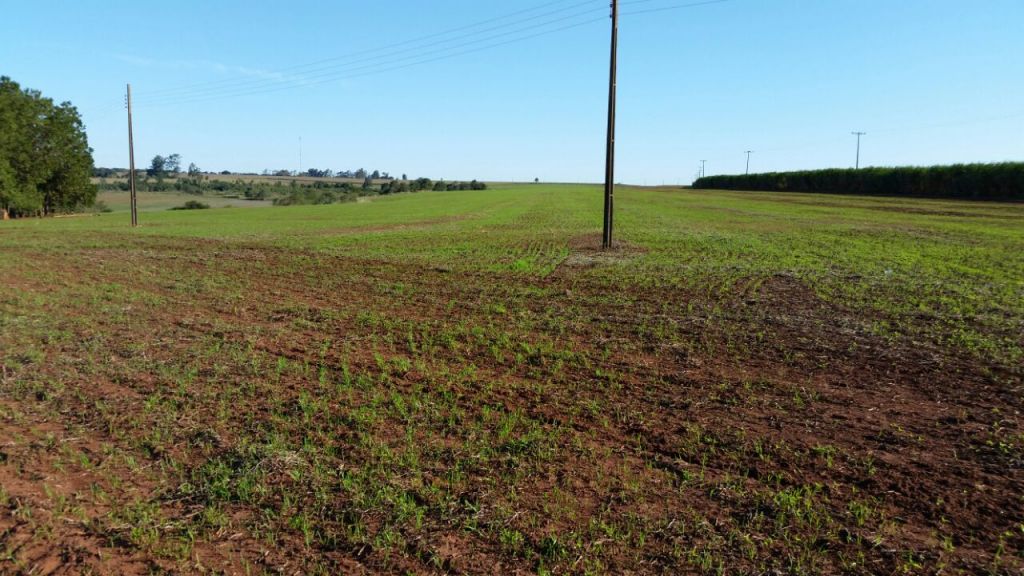 Vendo Terrenos Agricolas y Residenciales con Mansiones Zona Santa Rita y Hernandarias — foto 2