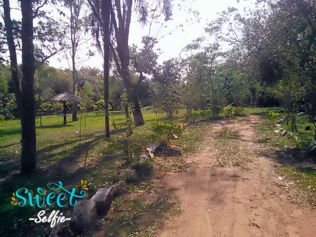 Hermosa quinta — foto 3
