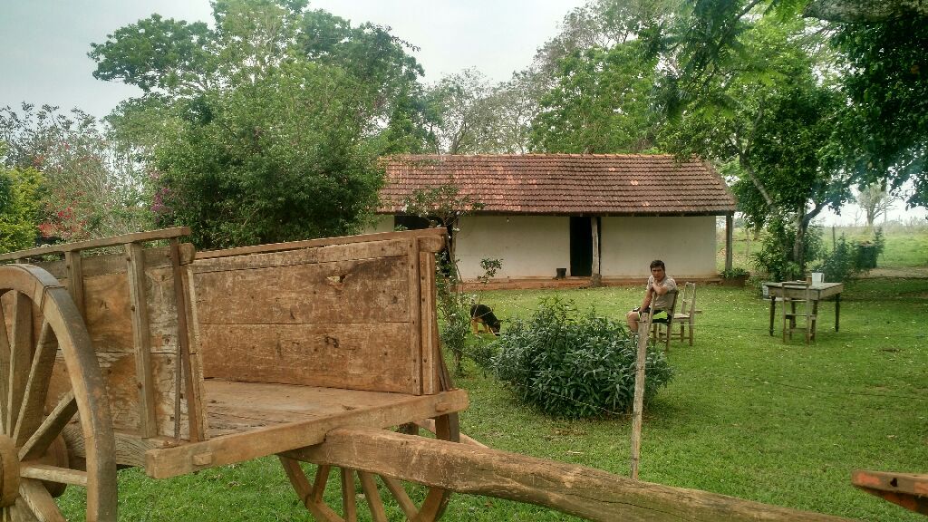 Vendo Estancia Formada — foto 2
