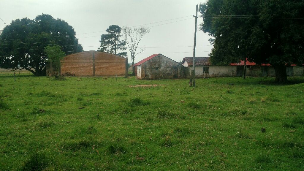 Vendo Estancia Formada — foto 3