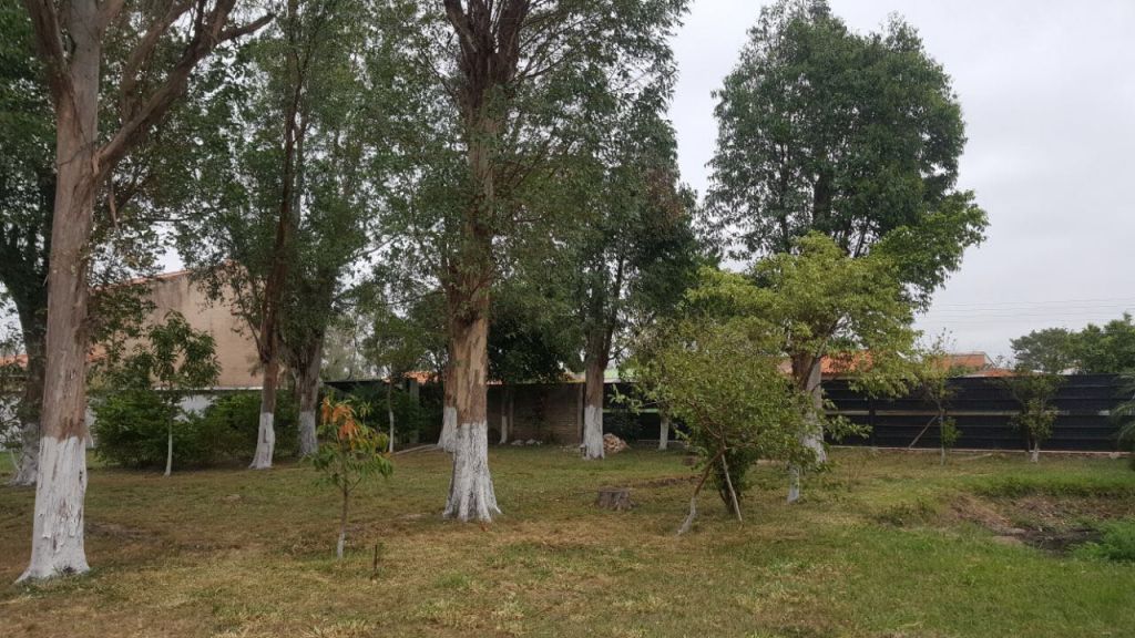 OFERTA DE TERRENOS EN LIMPIO!!! 1296 m2 — foto 2
