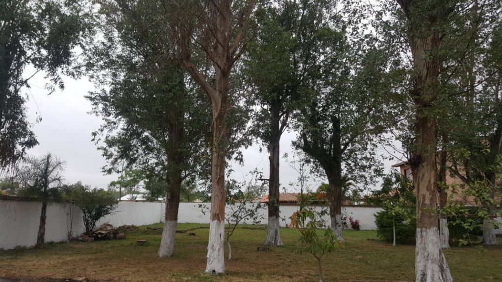 OFERTA DE TERRENOS EN LIMPIO!!! 1296 m2 — foto 3