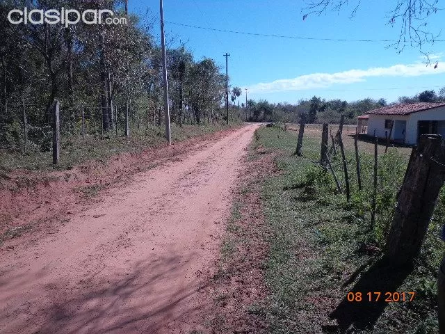 VENDO 6 HA. CIUDAD DE ALTOS — foto 2
