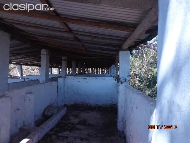 VENDO 6 HA. CIUDAD DE ALTOS — foto 3