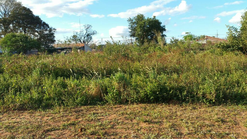Vendo Hermoso Terreno en Ypane — foto 2