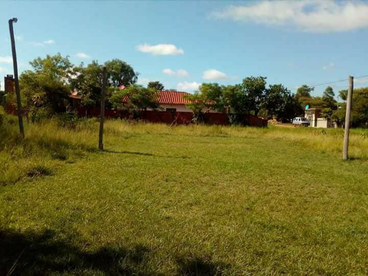 Vendo tres terrenos juntos en limpio — foto 2