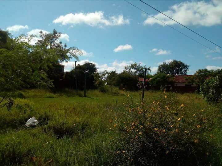 Vendo tres terrenos juntos en limpio — foto 3