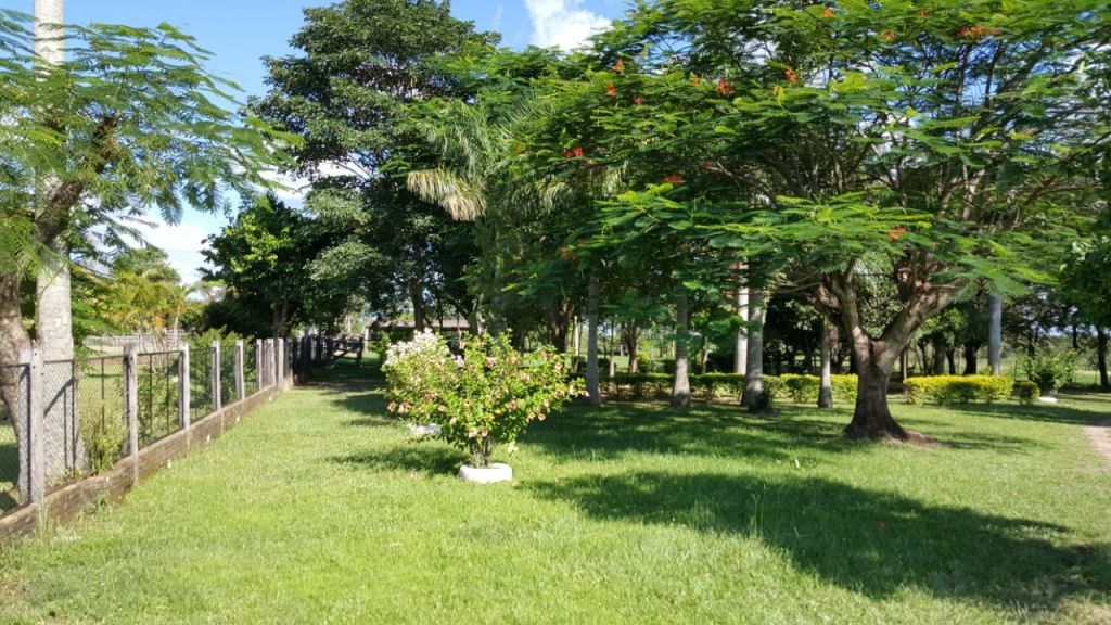 Vendo o Arriendo Hermosa Granja Saladillo-Concepción — foto 2
