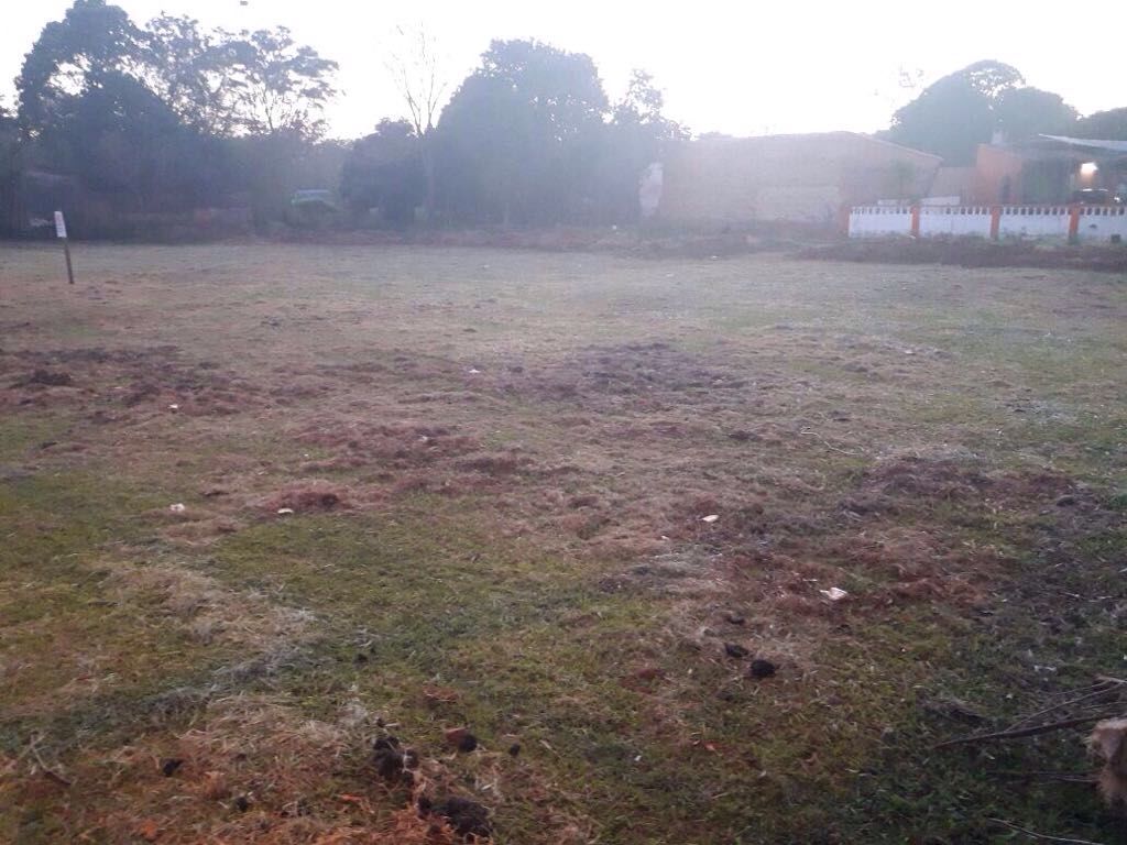 SÚPER UBICACIÓN SOBRE ASFALTO — foto 3