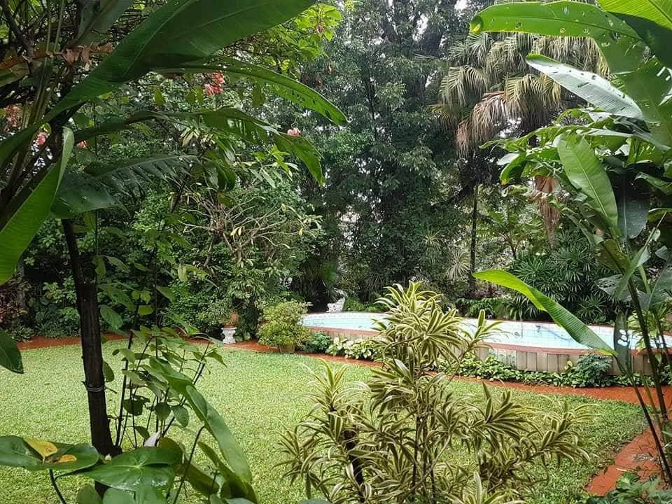 terrenocasa szanotti — foto 2
