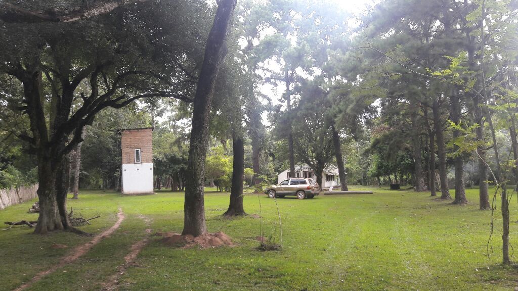 Vendo hermosa propiedad de 8 hectáreas. — foto 2