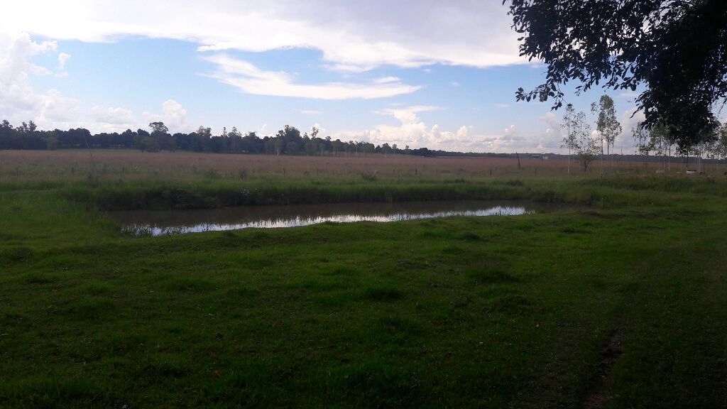 Vendo hermosa propiedad de 8 hectáreas. — foto 3