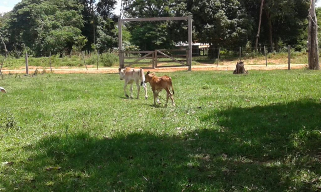 Vendo finca rural — foto 2
