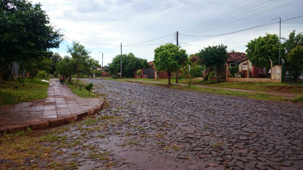 VENDO TERRENO 3000 METROS CUADRADOS — foto 2