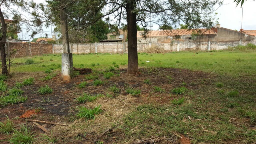 VENDO 3 TERRENOS JUNTOS EN LOMA PYTA — foto 3