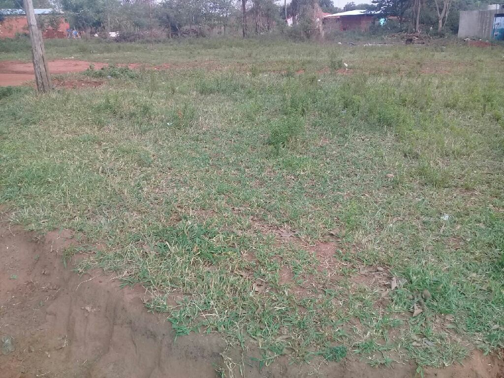 VENDO TERRENO — foto 2