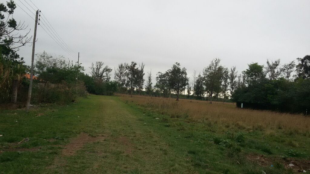 Terreno en San bernardino — foto 2