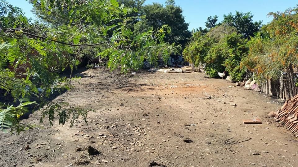 Vendo Terreno en Limpio — foto 2