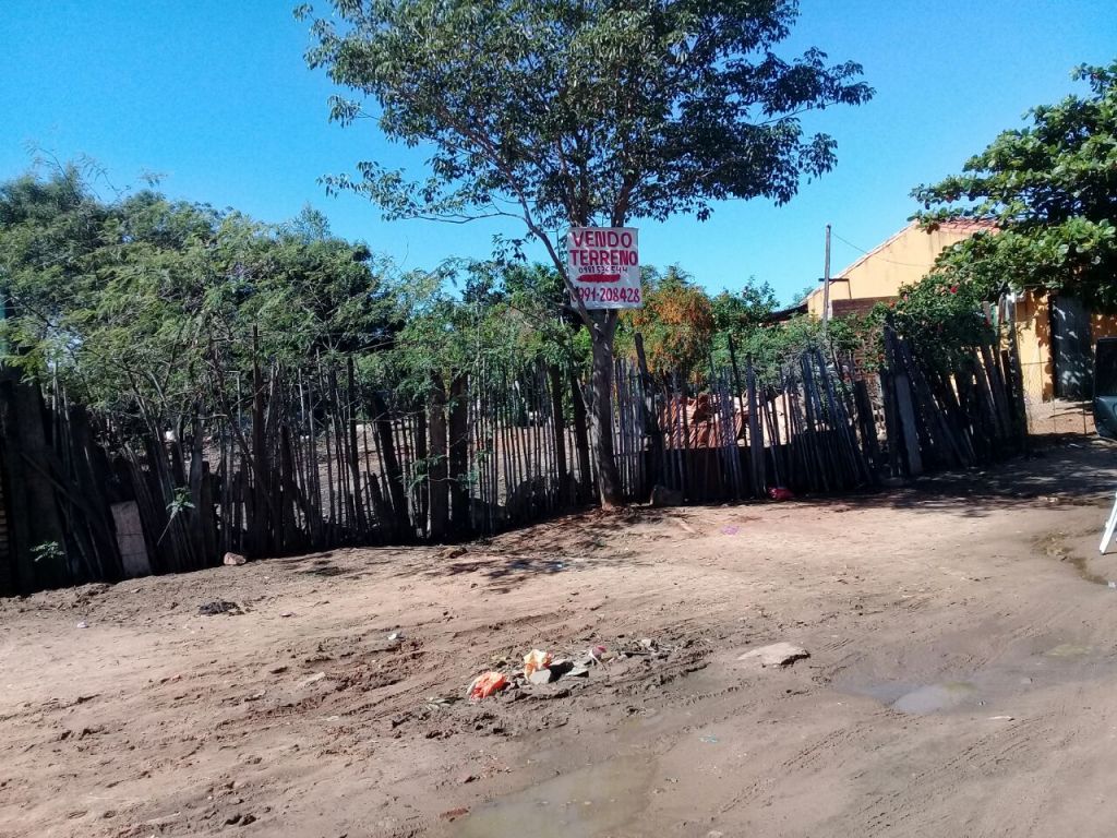 Vendo Terreno en Limpio — foto 3