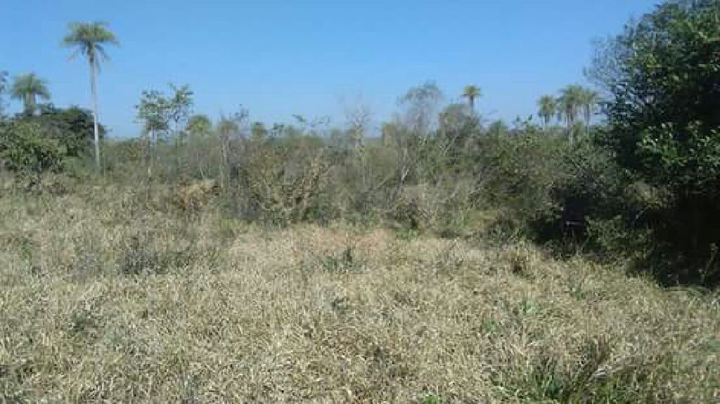 Oferta Terreno 12 X 30 Ramal Piribebuy — foto 3