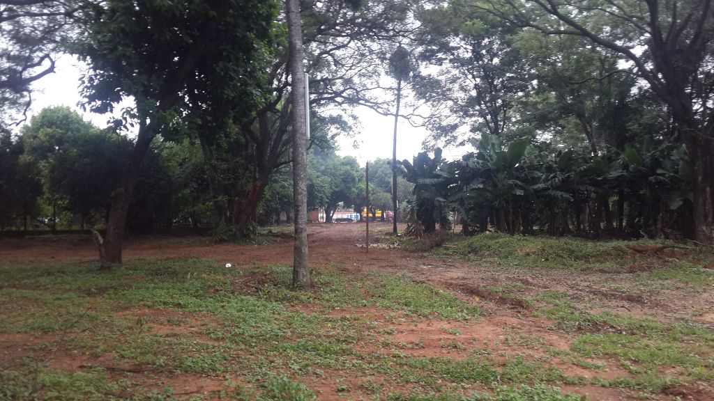 TERRENO DE 11.633 m2 SOBRE RUTA 2 CAPIATA — foto 3