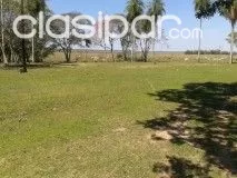 PARAGUARI - MBUYAPEY: MARAVILLOSAS 1.620 HAS EN VENTA! - TOTALMENTE DESARROLLADAS. — foto 2