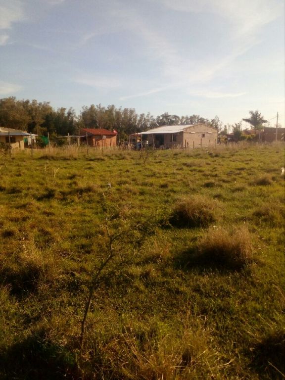 Terreno en limpio — foto 3
