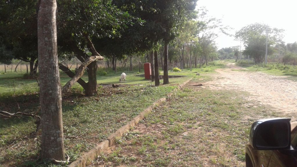 Oferta!!! Terreno En Luque Mora Cue — foto 3