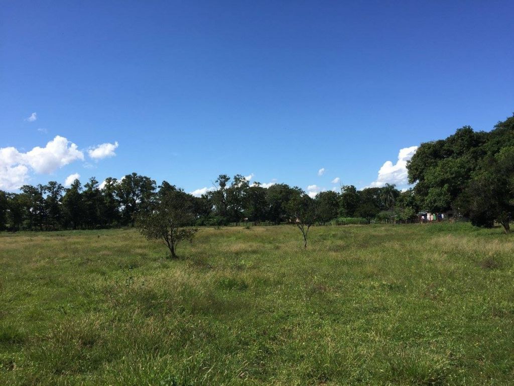 Vendo Granja con casona — foto 2