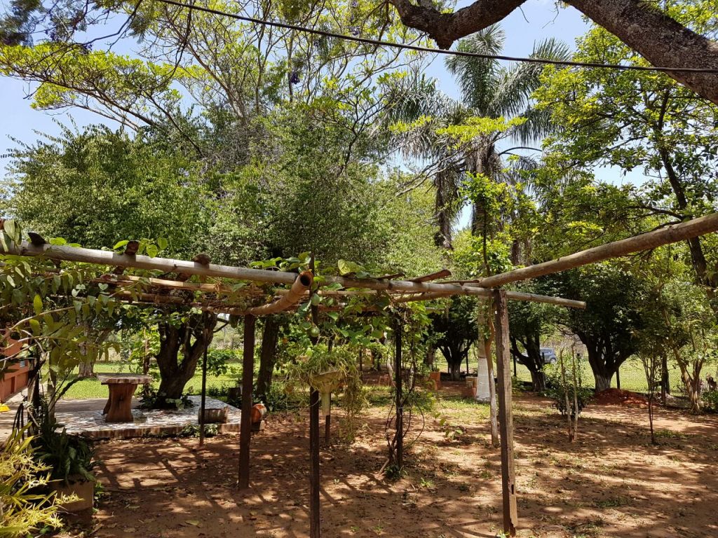 Vendo Granja con casona — foto 3