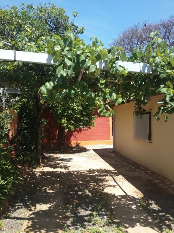 ALQUILO CASA EN SAN LORENZO — foto 3
