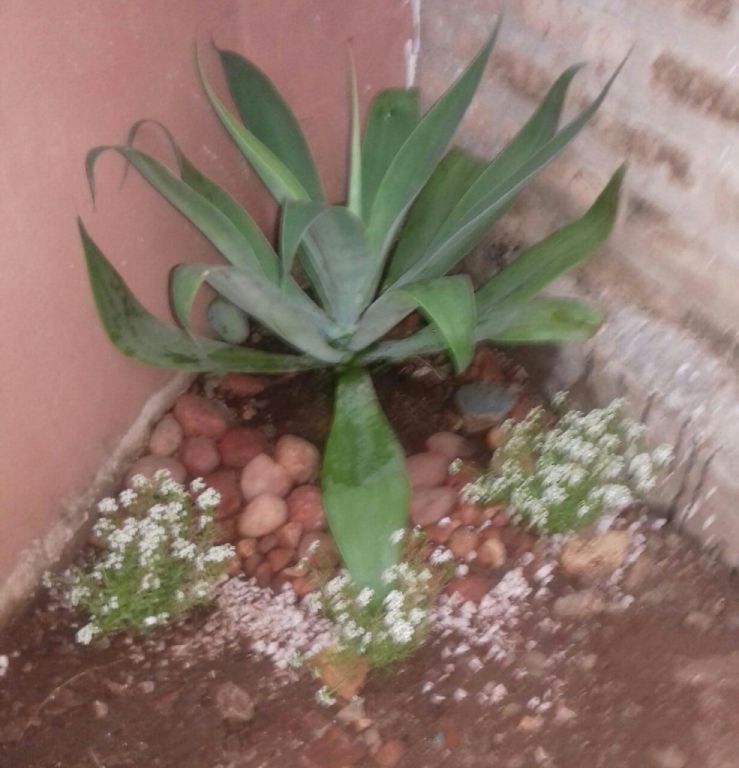 vendo duplex a estrenar fernando de la mora — foto 3