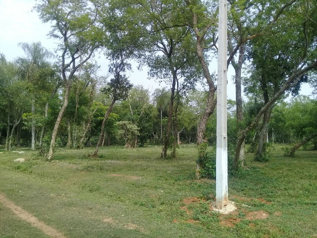 TERRENOS PLANOS EN EMBOSCADA — foto 3