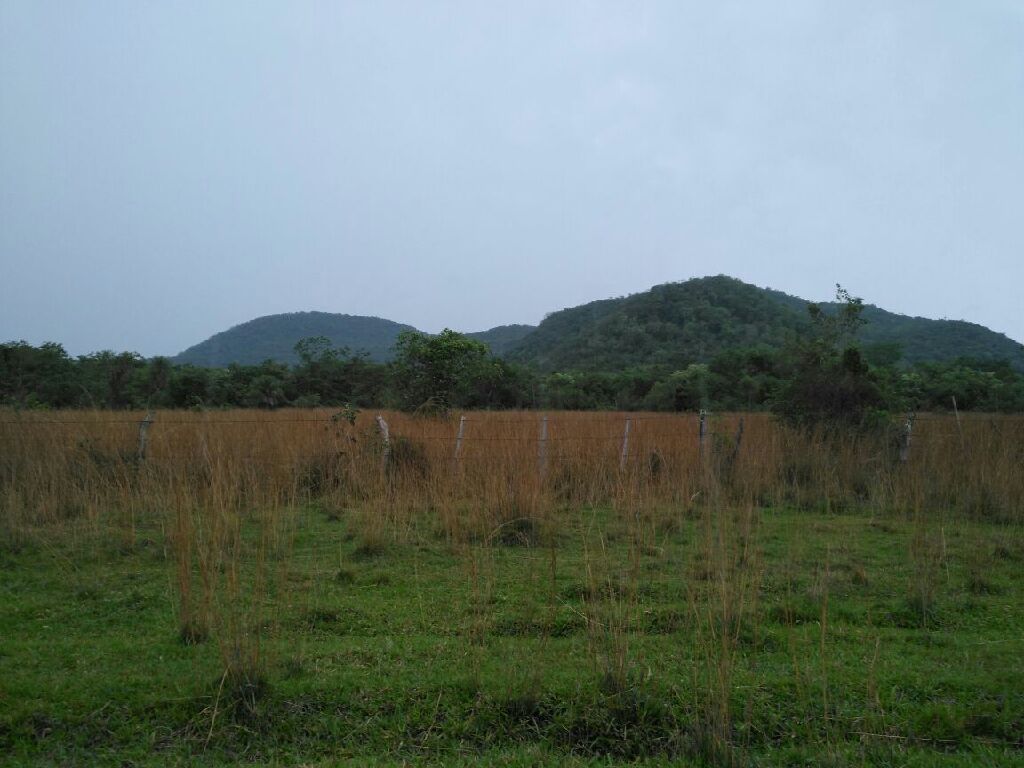 Vendo terreno — foto 2