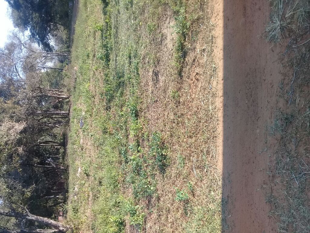 NO TE QUEDES SIN LOTES APROVECHA... — foto 3