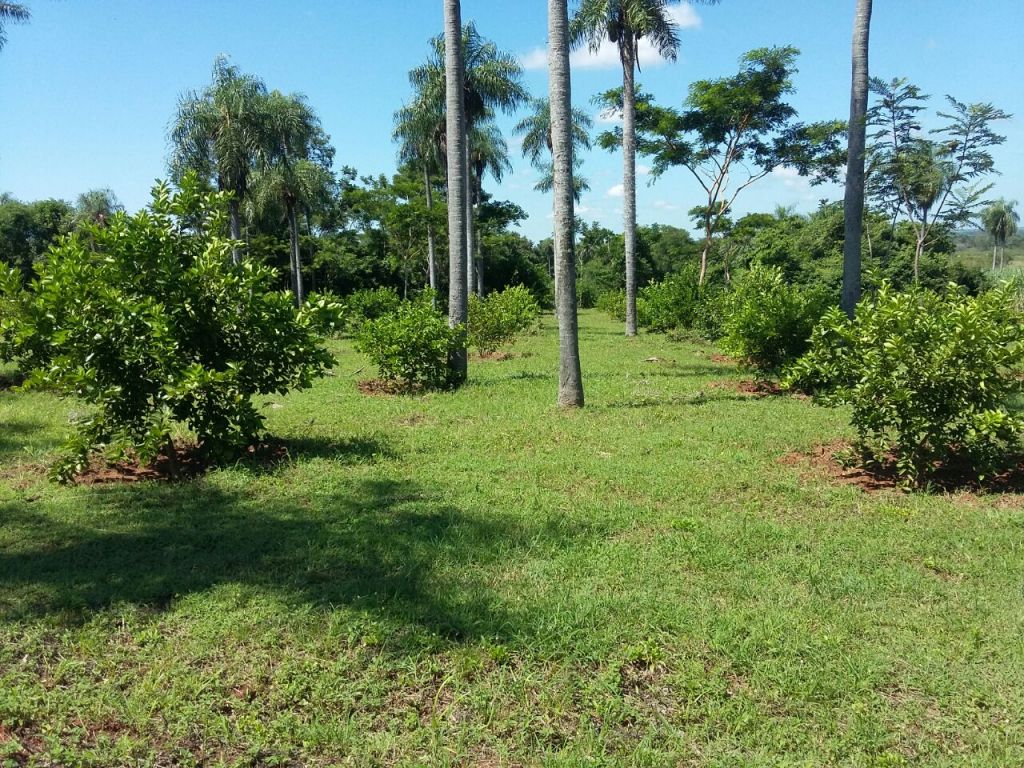 TERRENO EN GUARAMBARE, A 200 METROS DE ACCESO SUR, 8.000M2 — foto 3