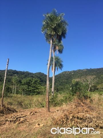Vendo propiedad de tres hras tres cuarto — foto 3