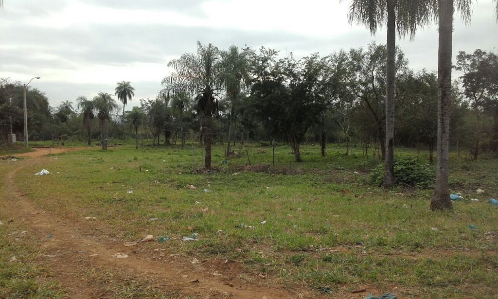 REMATO TERRENO LUQUE — foto 2