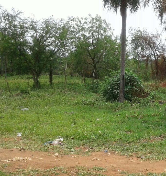 REMATO TERRENO LUQUE — foto 3