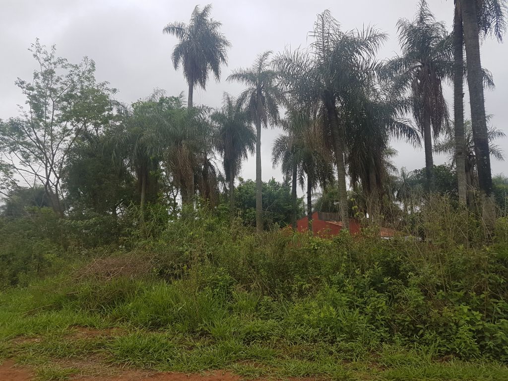 Vendo Terrenos en Ñemby — foto 2