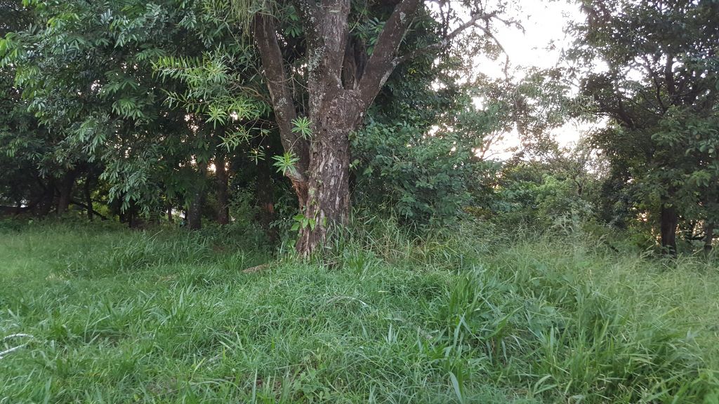 Vendo terrenos — foto 3