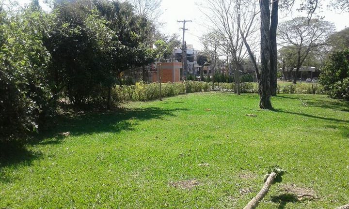 Vendo Terreno Parana Country Club — foto 2