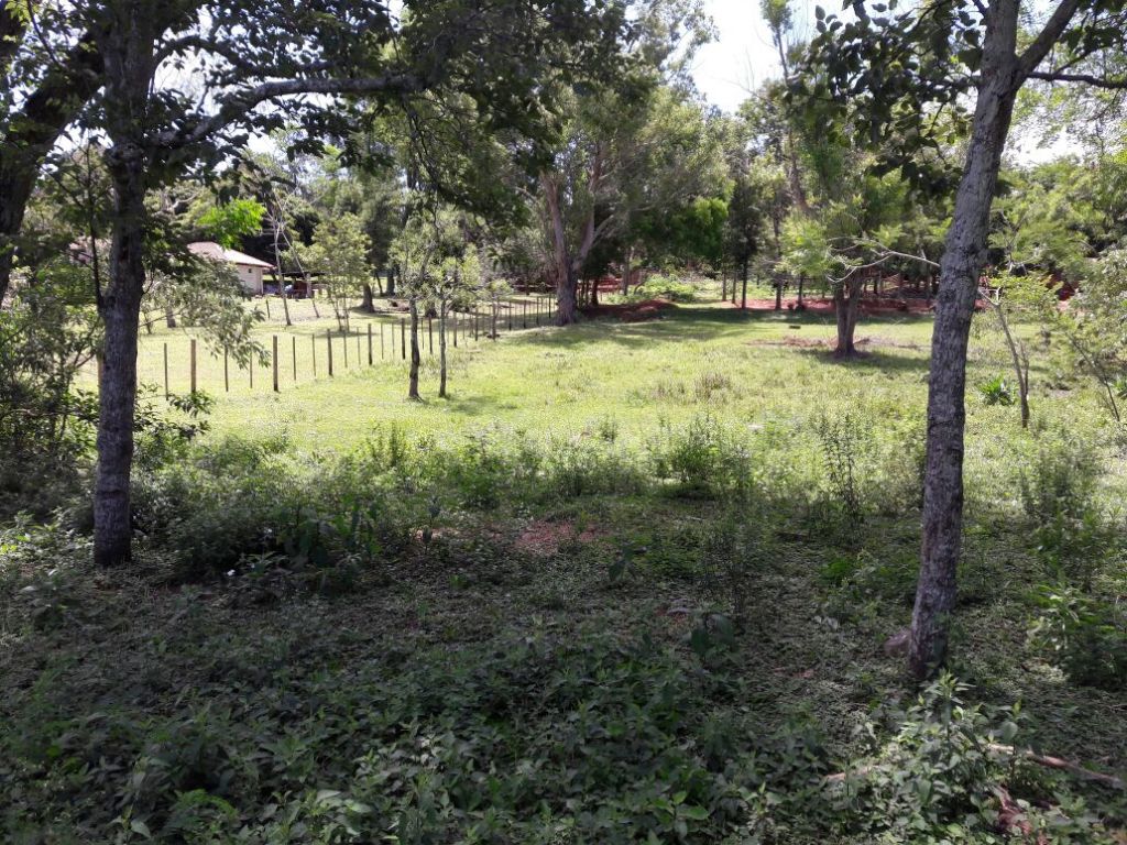 Terreno con arroyo en Piribebuy — foto 2